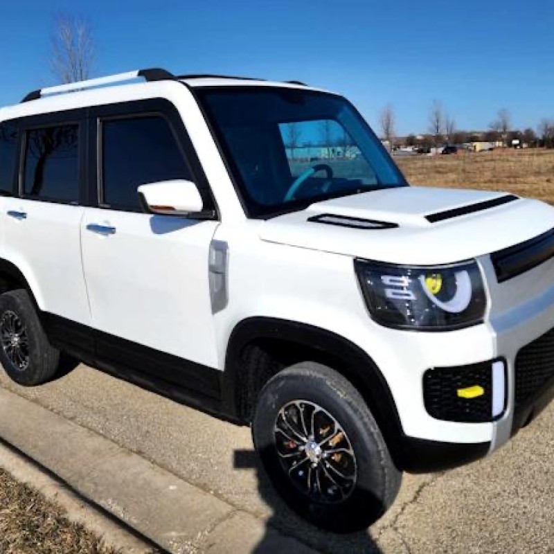 Electric 4 Door Coco Trooper 60v Electric Golf Cart LSV With Rear Trunk Hatch