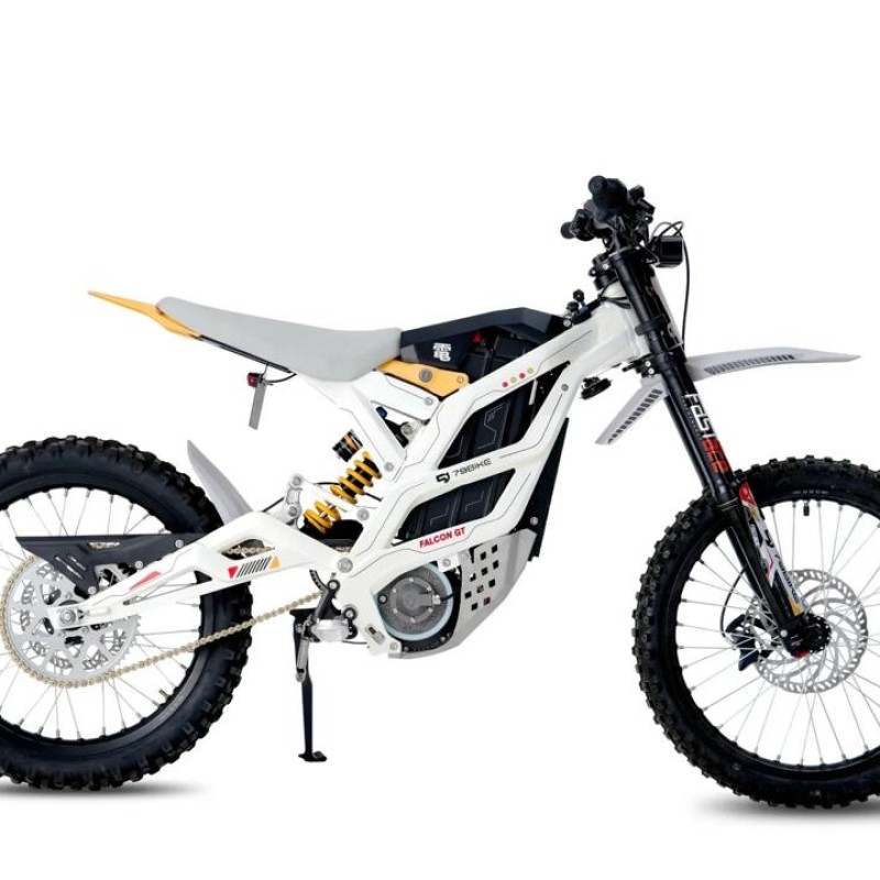 2025 79BIKE FALCON GT